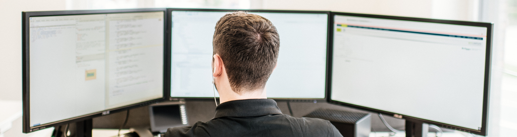 Mitarbeiter von geoCapture am Desktop 